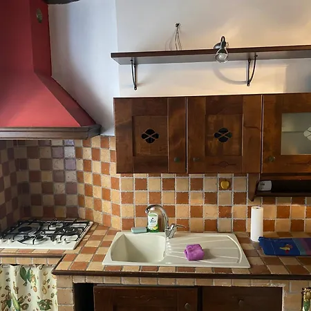 La Tana Del Riccio Apartment
